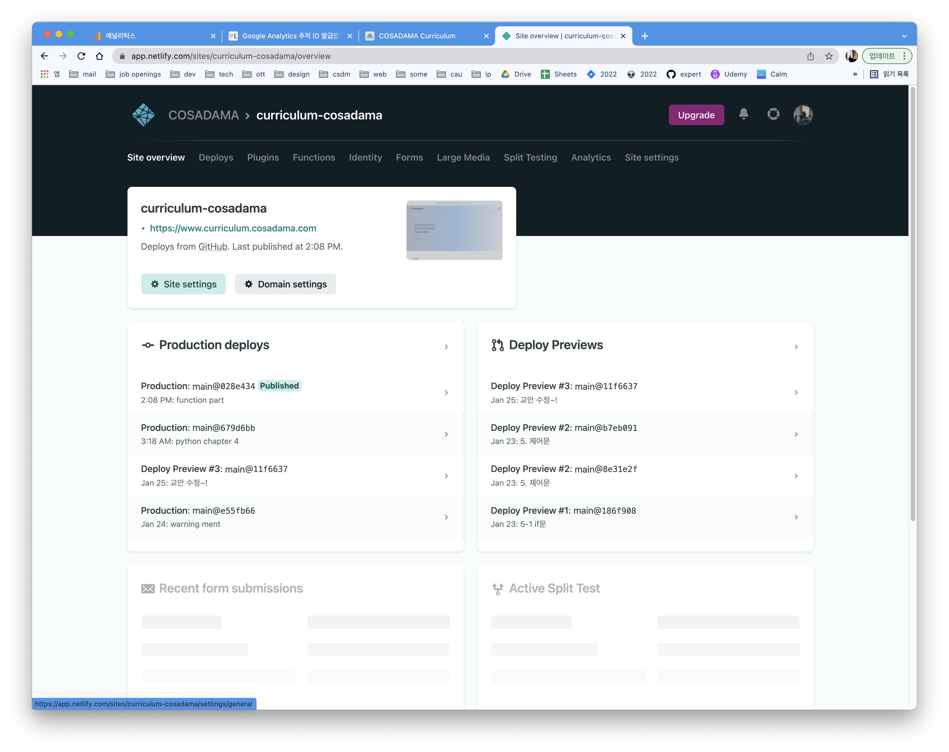 netlify site setting